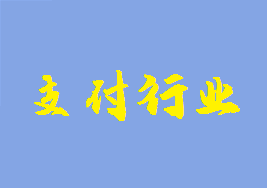 支付行业 (38).png